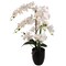 22-Inch Phalaenopsis Orchid Arrangement for Home and Office Floral Décor, Floral Home by Artificial Flowers